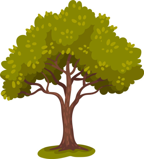 有树干和繁茂的树冠或树叶的树图片下载