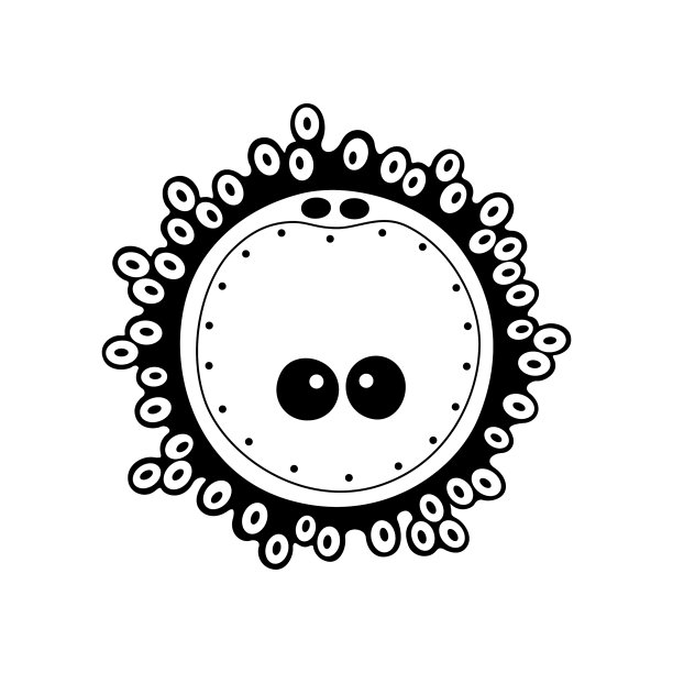 生殖系统的概念图片下载