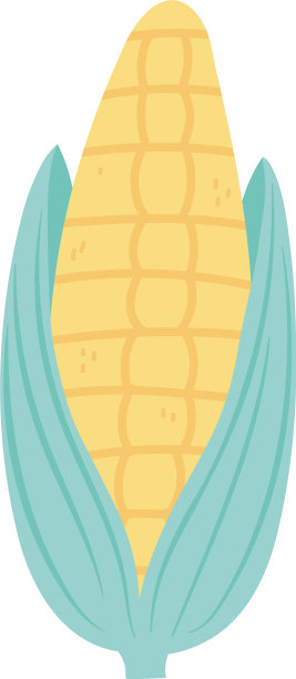 新鲜玉米芯有机孤立图标设计白色图片下载