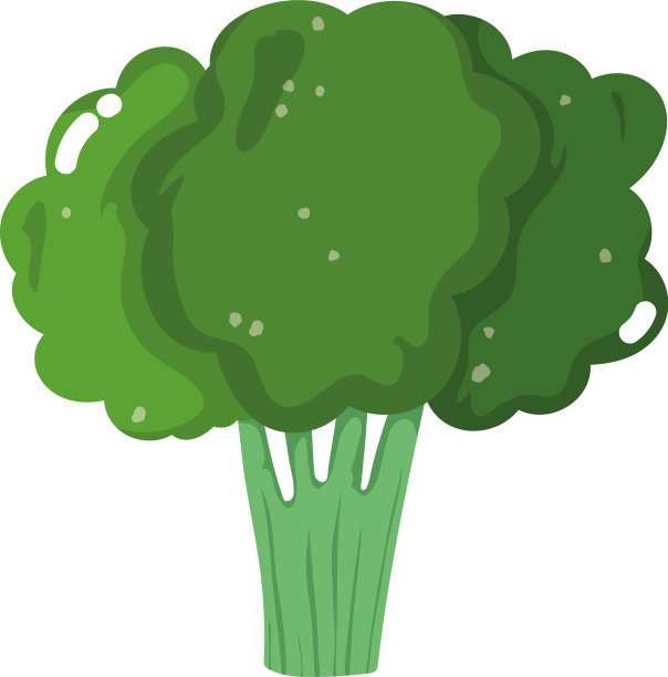 西兰花蔬菜新鲜卡通孤立图标图片下载