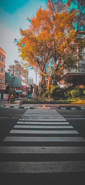 街上行图片下载