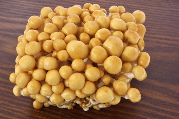 Nameko蘑菇图片下载