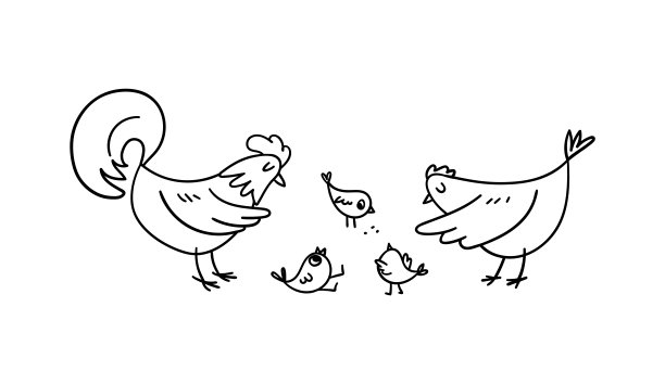 一只手绘公鸡和一只母鸡围着小鸡。嘟嘟的家禽在喂养它们嬉闹的小鸡。Vector stock插图的家禽养殖黑色在白色的背景。图片下载