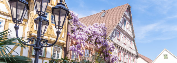 德国南部的半木制房屋，配有铸铁路灯和盛开的蓝雨图片下载