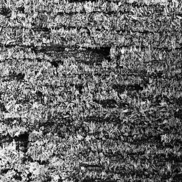 木片表面的冰晶。黑白花纹纹理背景图片下载