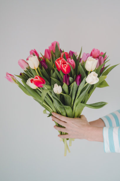 手持春日郁金香花束的女人图片下载