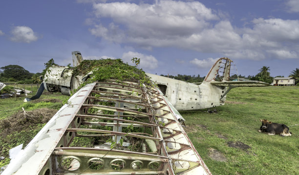 飞机残骸图片下载