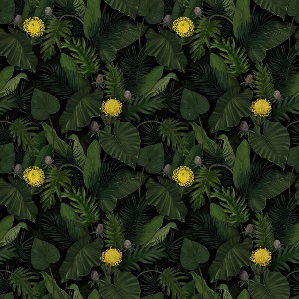 热带奇异的无缝图案，热带叶上有protea花。图片下载