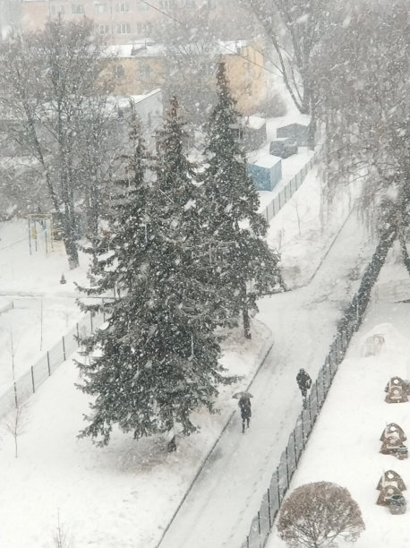 冬天的风景。一个小镇的街道上覆盖着白雪。暴雪图片下载