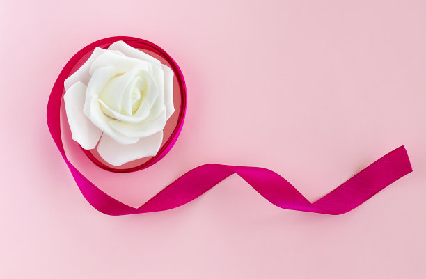 一朵白色玫瑰，粉红色背景上有洋红色的丝带。假日与情人节，浪漫背景与拷贝空间。俯视图图片下载