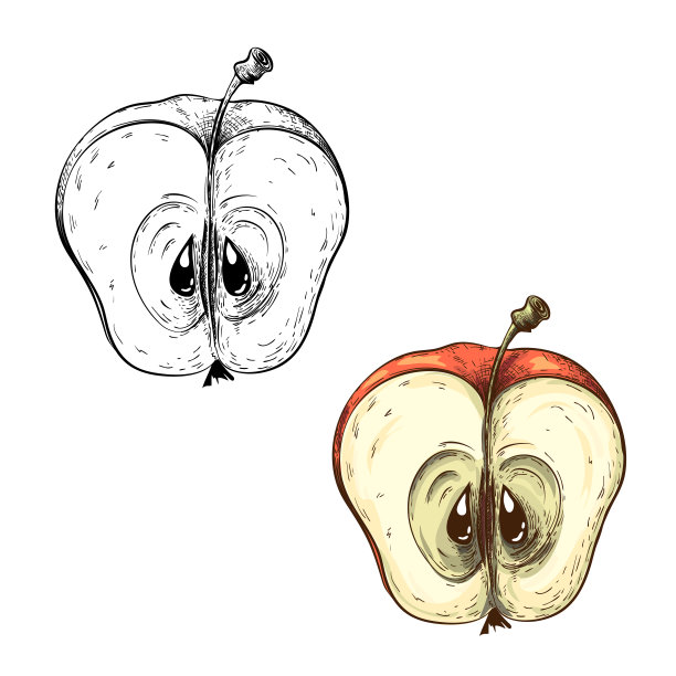 手绘半只苹果，复古雕花风格。切割苹果插图孤立在白色。彩色草图。花园水果图标。有机健康食品，烹饪配料。非常适合复古风格的设计。图片下载