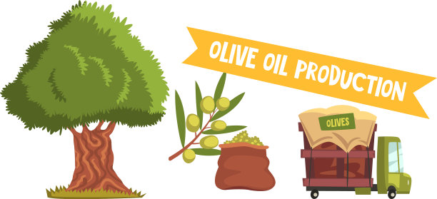 橄榄油的生产工艺集采收图片下载