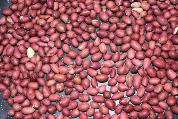 有机花生全称为Mungfali Badam近距离背景图片下载