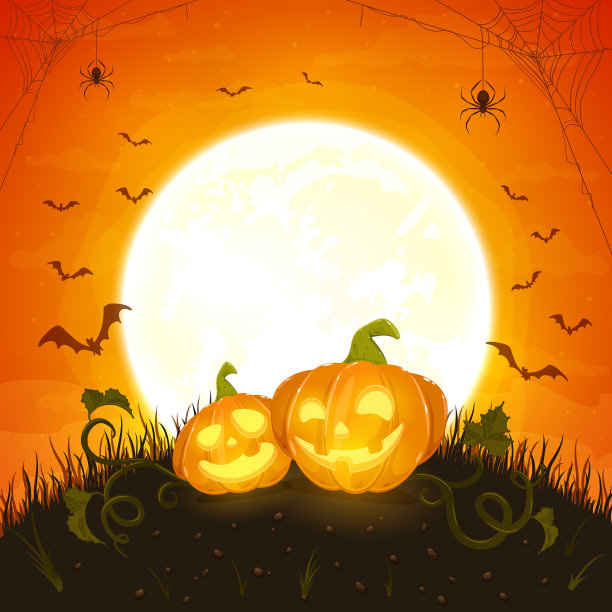 两个桔黄色的万圣节南瓜上有蜘蛛图片下载