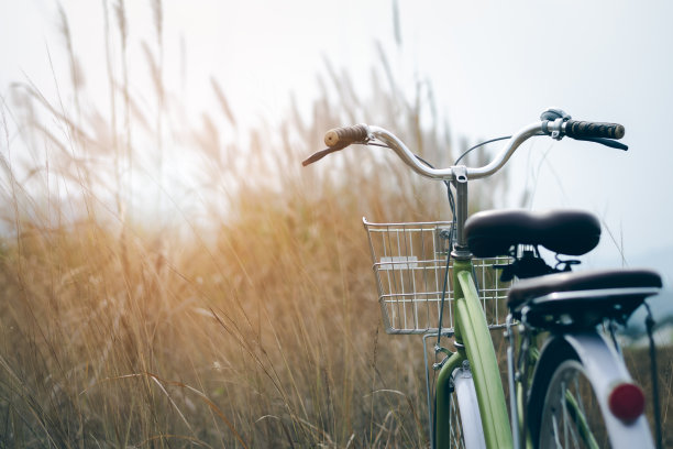 妇女们骑自行车停在草地上图片下载