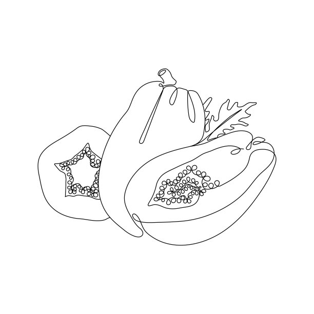 黑色连续的单线画。木瓜异国情调的水果。矢量插图。最小的抽象艺术。白色背景上的黑色线性艺术图片下载