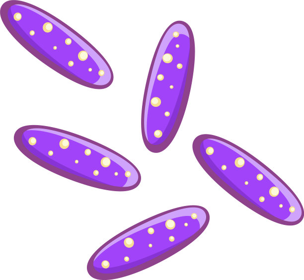 细菌生物科学与疾病微生物集合图片下载