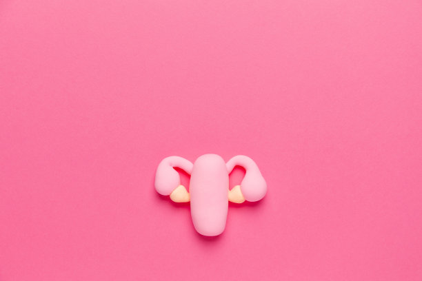 子宫的治疗和预防。关爱女性生殖系统、妇科的理念。文本复制空间图片下载