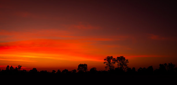 树在夕阳的映衬下显出轮廓。田野上的一棵黑暗的树，壮观的日出。令人惊叹的日落和日出。图片下载