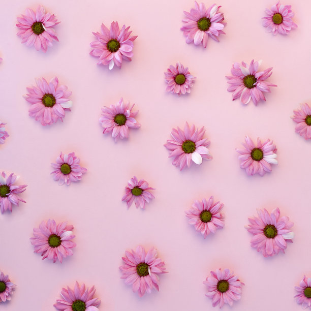 粉红色的花朵图案图片下载