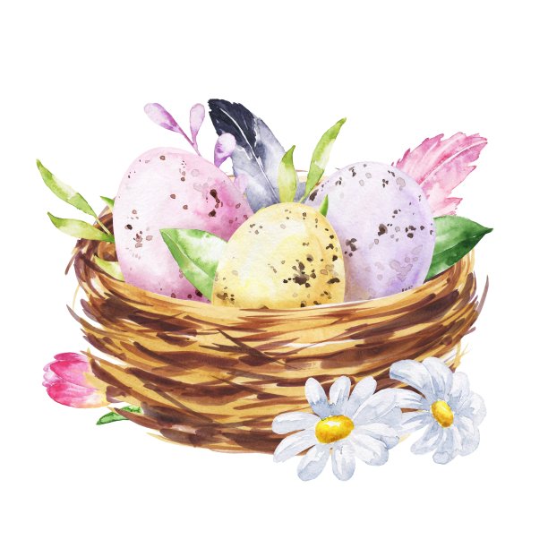 水彩画复活节鸟窝与蛋和花在白色的背景。水彩节日的插图。图片下载