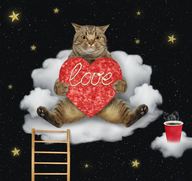 猫米色坐在云椅子上图片下载