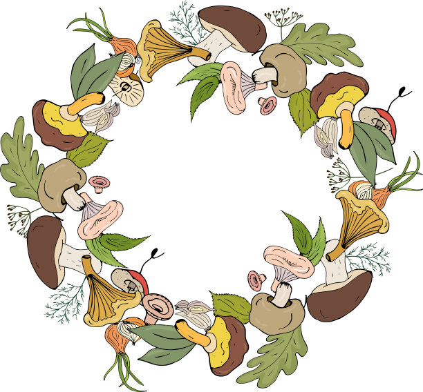 秋花环林蘑菇菜和图片下载