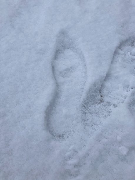 雪地细节上的脚印图片下载