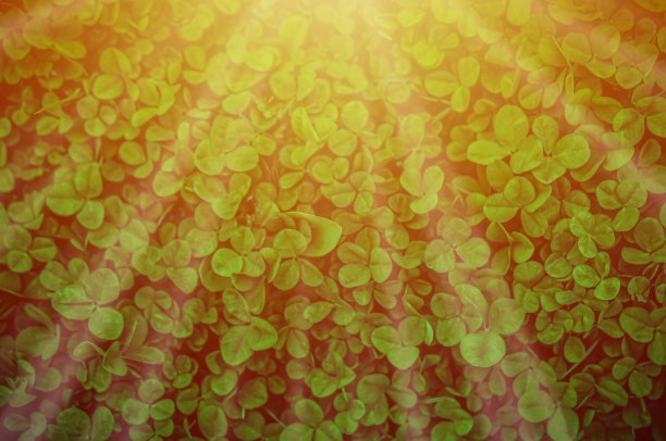 在紫外线图片下载