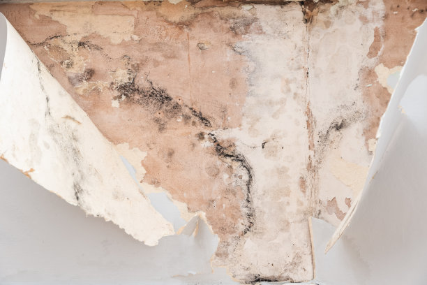 壁纸发黑，剥落图片下载