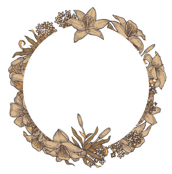 莉莉花。圆的框架。背景说明。手绘轮廓。园林植物的开花抽象工厂图片。向量图片下载