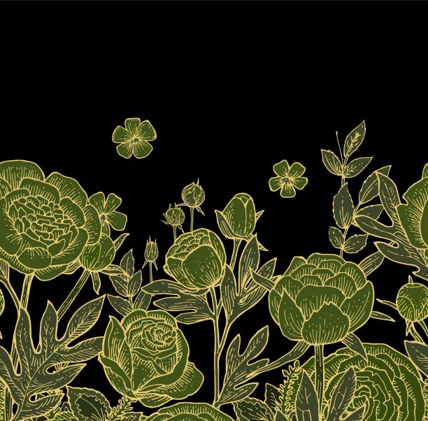 牡丹,玫瑰,花朵。无缝的框架。背景说明。手绘轮廓。园林植物的开花抽象工厂图片。向量图片下载