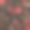 牡丹,玫瑰,花朵。墙纸和织物的无缝图案。背景说明。手绘轮廓。园林植物的开花抽象工厂图片。向量图片下载