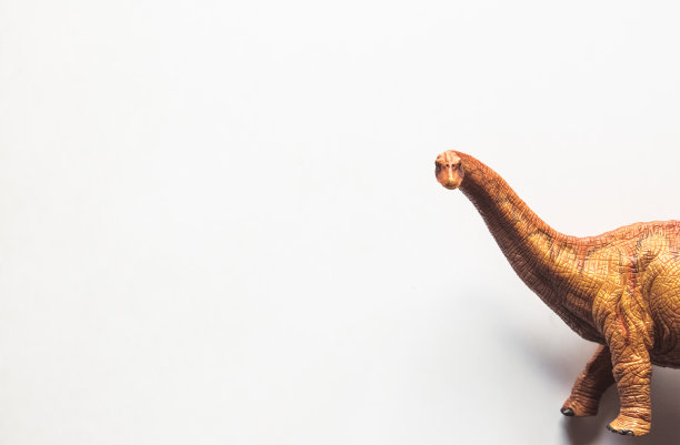 腕龙恐龙玩具孤立在白色背景图片下载