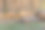 松林中被采伐业砍伐的堆积的树干图片下载