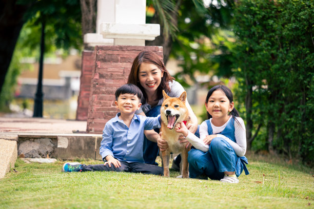 亚洲母亲和孩子坐在一起和柴犬在公园里玩图片下载