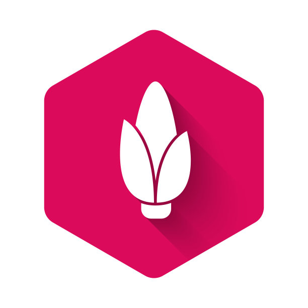 白色玉米图标，长阴影背景，粉色六边形按钮矢量图图片下载