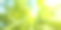 (选择性聚焦)在一个阳光明媚的日子里，一片散焦的竹林令人惊叹的景象。日本京都岚山竹林。自然，绿色背景与复制空间。图片下载