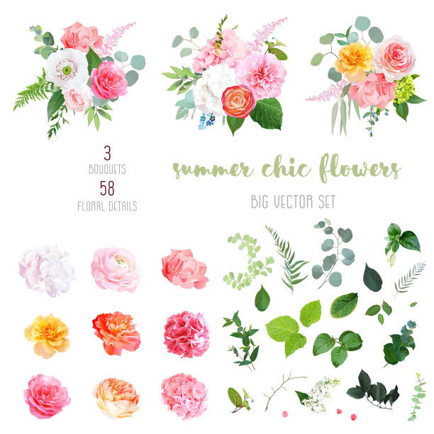 橙色毛茛，粉红色和黄色玫瑰，白色绣球花，牡丹图片下载