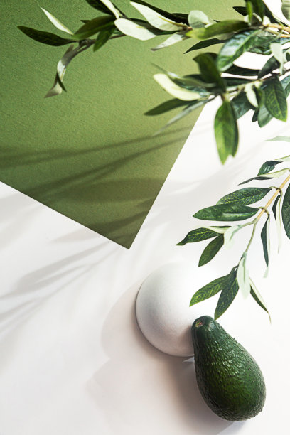 以牛油果、白色几何形状、桉树枝和白色和绿色背景的阴影为构图图片下载