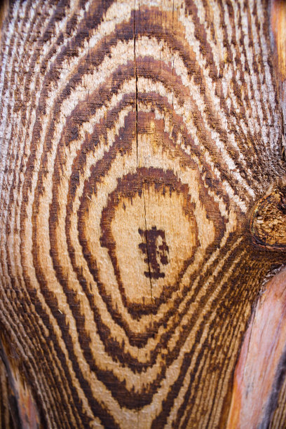 优秀的木结构抽象背景图片下载