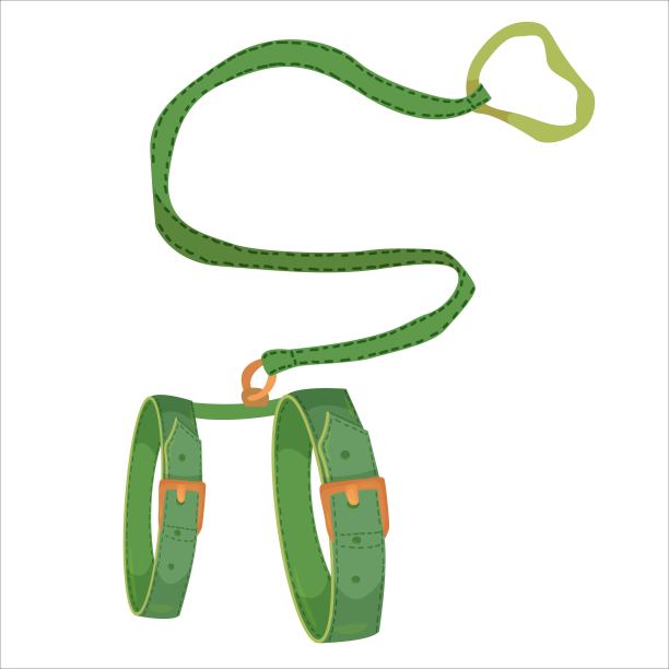遛狗或遛猫用皮带宠物用配件。一组手绘涂鸦中的元素。孤立的插图上的白色背景。图片下载