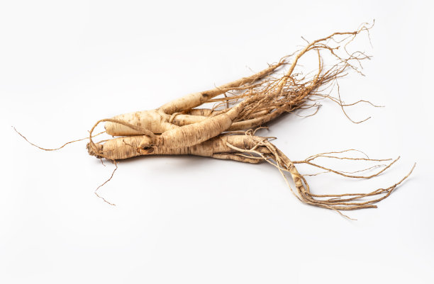 新鲜人参白底图片下载