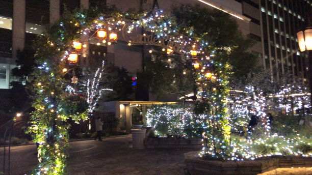 圣诞节照明图片下载