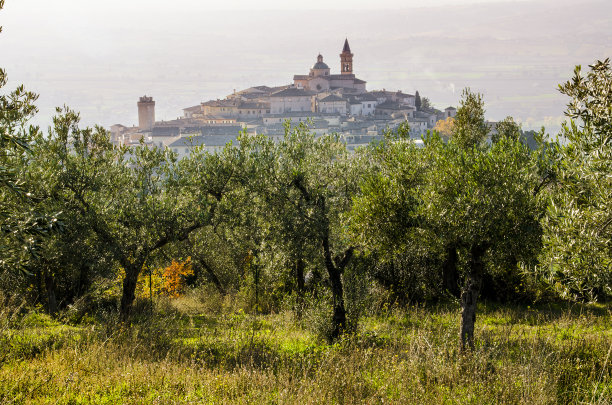 特莱维图片下载