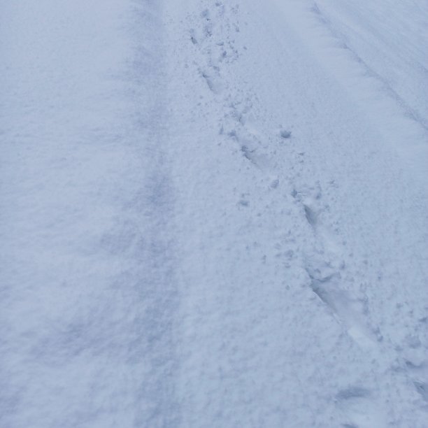 雪道上的脚步声图片下载