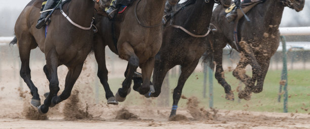 跑道赛马图片下载