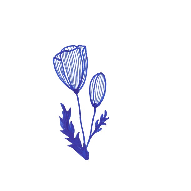 春天花郁金香蓝色墨水手绘图片下载