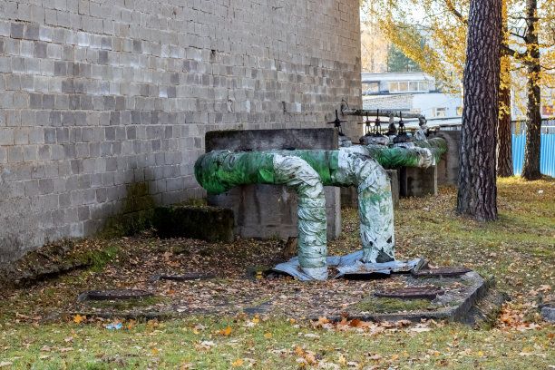 黄叶间的旧水管图片下载