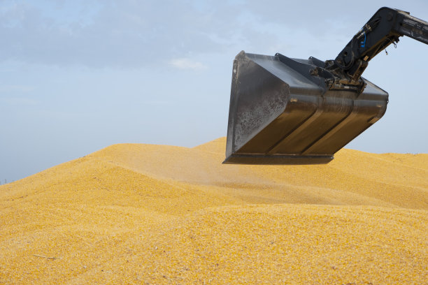 玉米青贮堆与拖拉机卡住图片下载